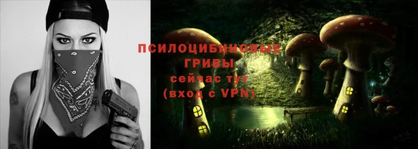 мдпв Ельня