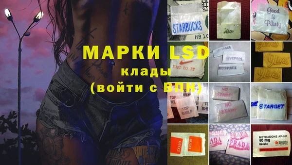 крисы Лабытнанги